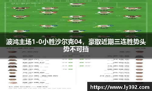波鸿主场1-0小胜沙尔克04，豪取近期三连胜势头势不可挡